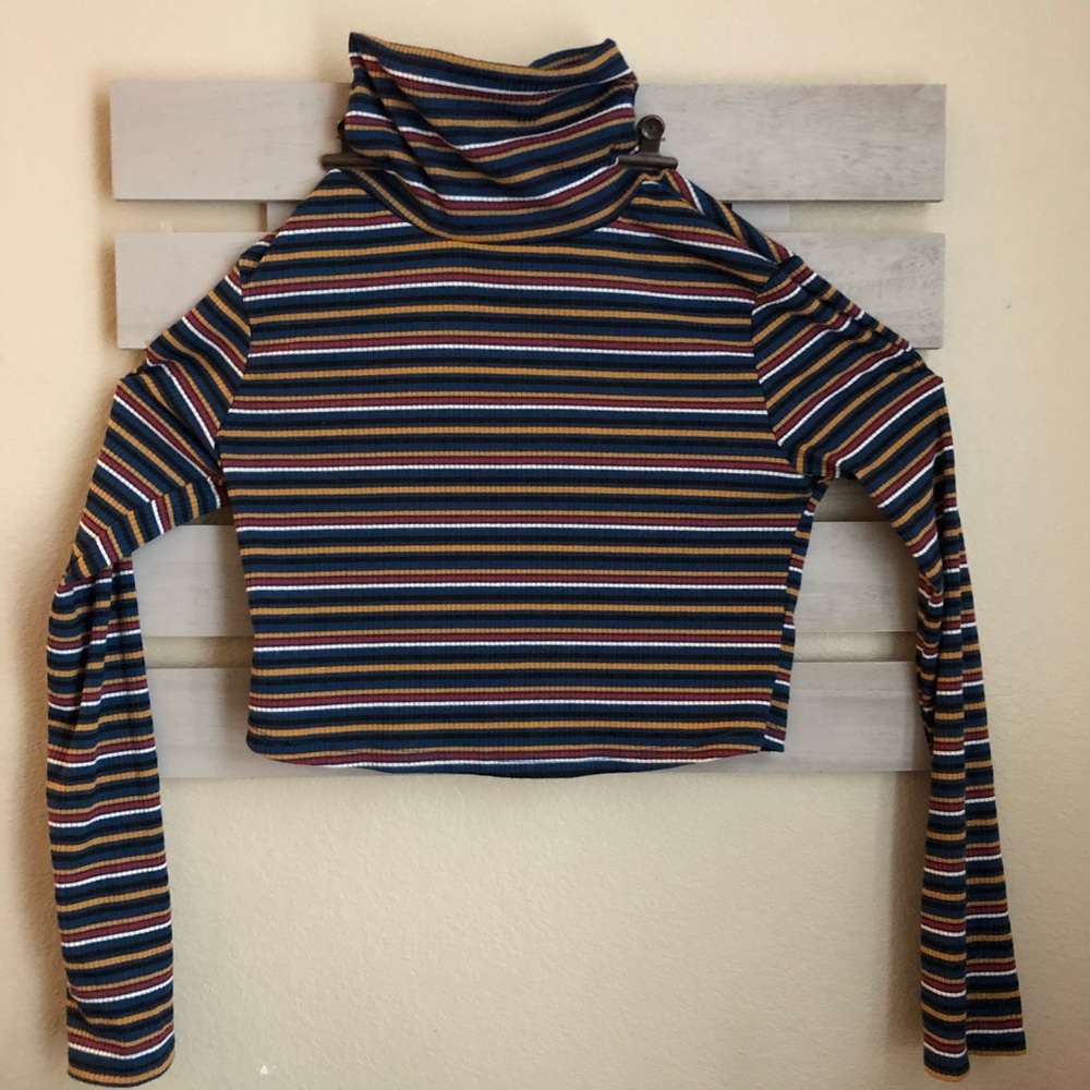 Striped Multicolor Turtleneck